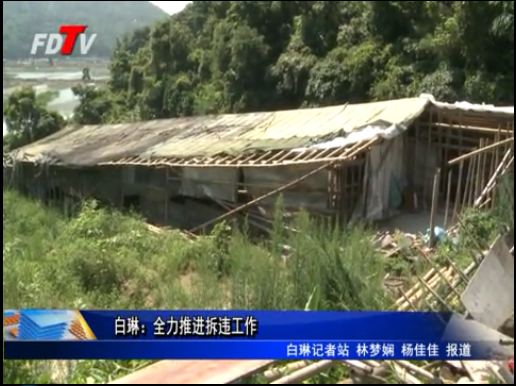 白琳：全力推進拆違工作