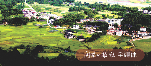霞浦柏洋鄉：穿著“綠鞋”奔跑在“生態強鄉”路上