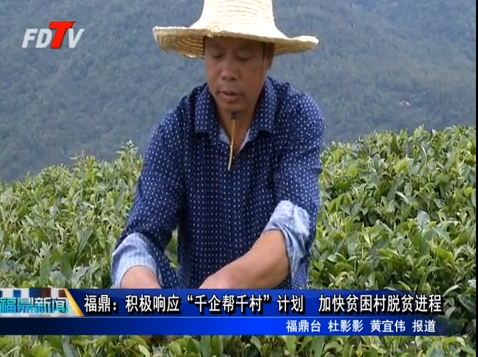 福鼎：積極響應“千企幫千村”計劃　加快貧困村脫貧進程