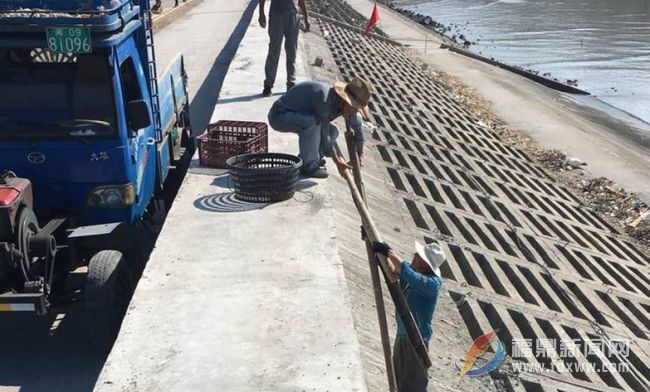 太姥山鎮開展海漂垃圾治理行動