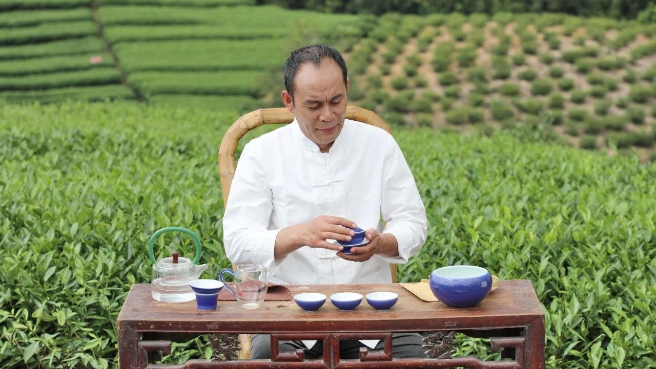 演員張光北來福鼎種茶了？什么情況……