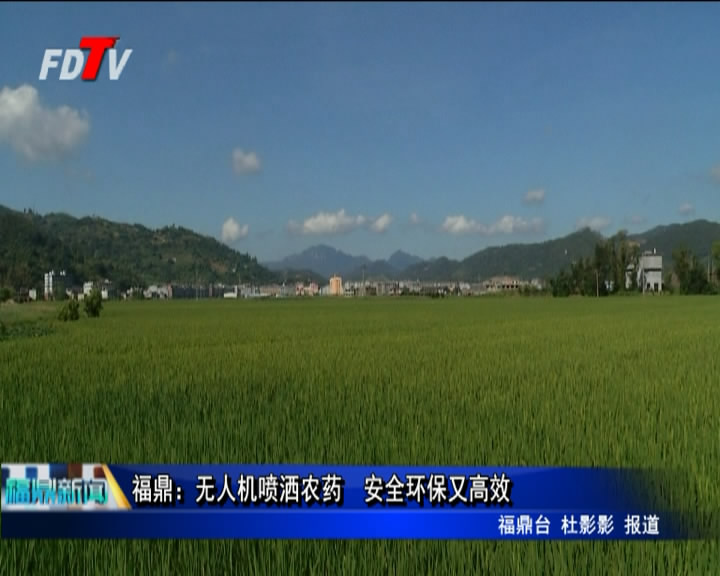 福鼎：無人機噴灑農藥　安全環保又高效