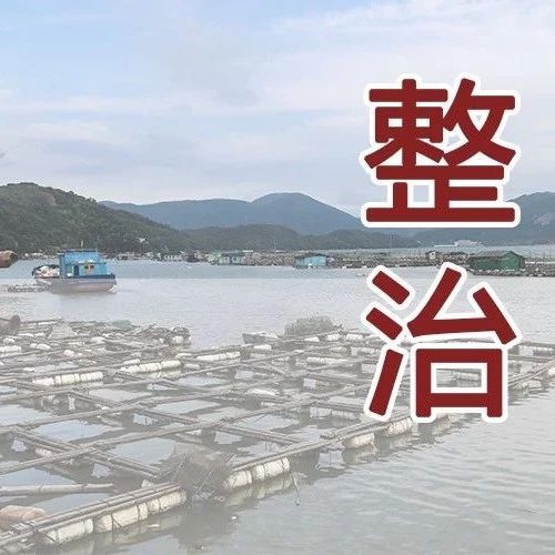 @福鼎人 ，海上養殖綜合整治已開始，為期兩年！請遵守這些要求