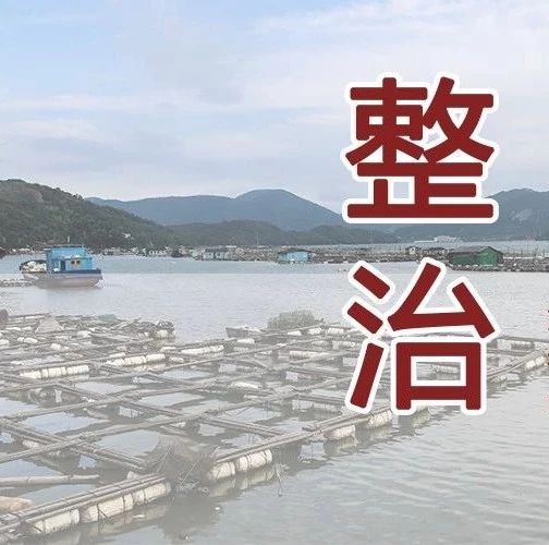 福鼎：“放假不停工”推進海上養殖綜合整治