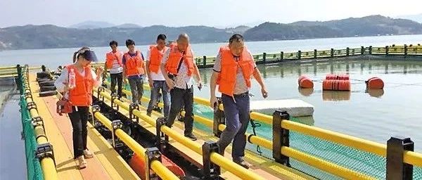 國慶堅守一線，福鼎全力推進海上養殖綜合整治