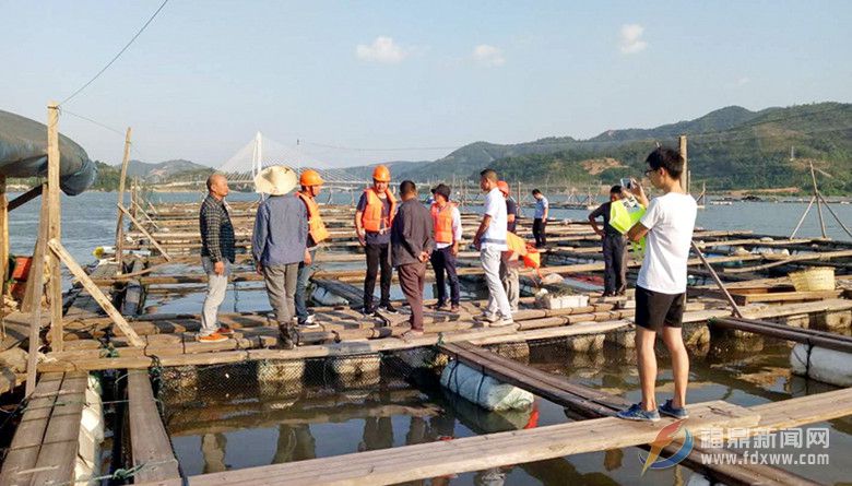 國慶堅守一線 點頭鎮展開海上養殖綜合整治