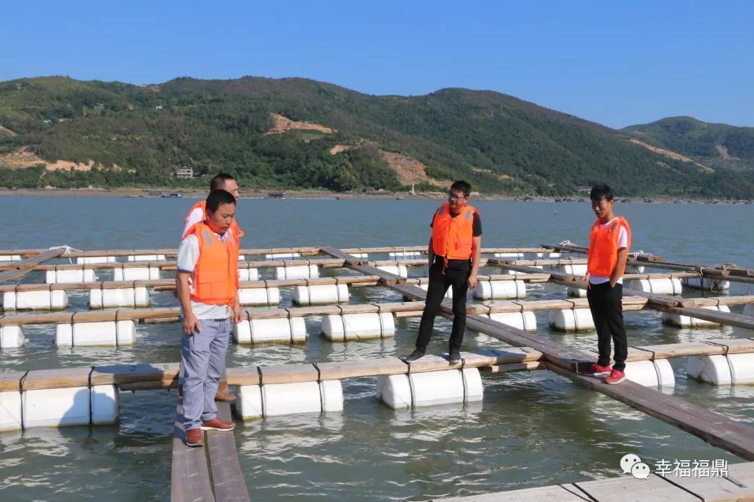 國慶假期不休停！福鼎上下堅決打贏海上養殖綜合整治硬仗