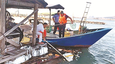 福鼎市點頭鎮的志愿者到八尺門內灣海域開展海漂垃圾清理整治行動