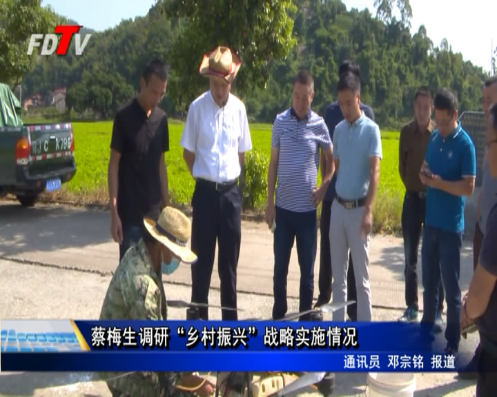 蔡梅生調研“鄉村振興”戰略實施情況