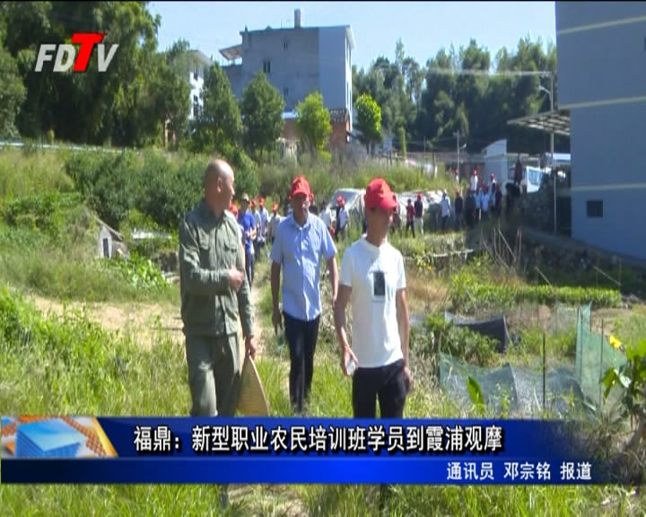 福鼎：新型職業農民培訓班學員到霞浦觀摩