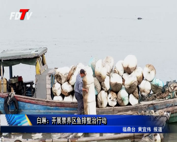 白琳：開展禁養區魚排整治行動