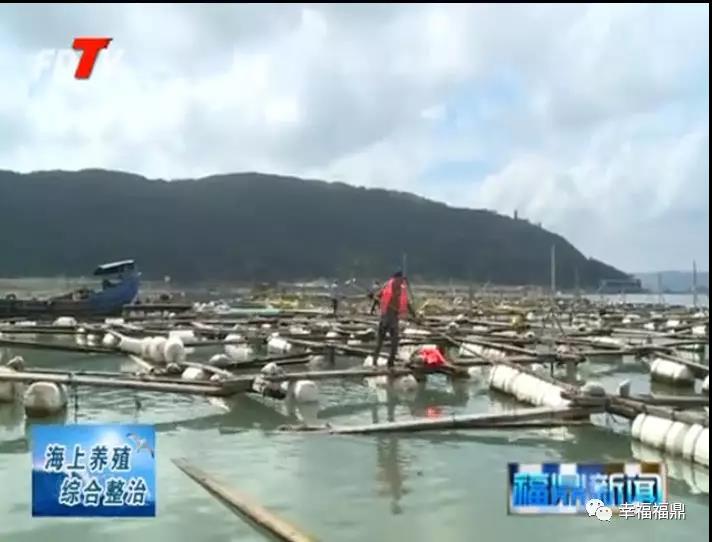 凝聚共識，重拳出擊，佳陽按下海上綜合整治加速鍵