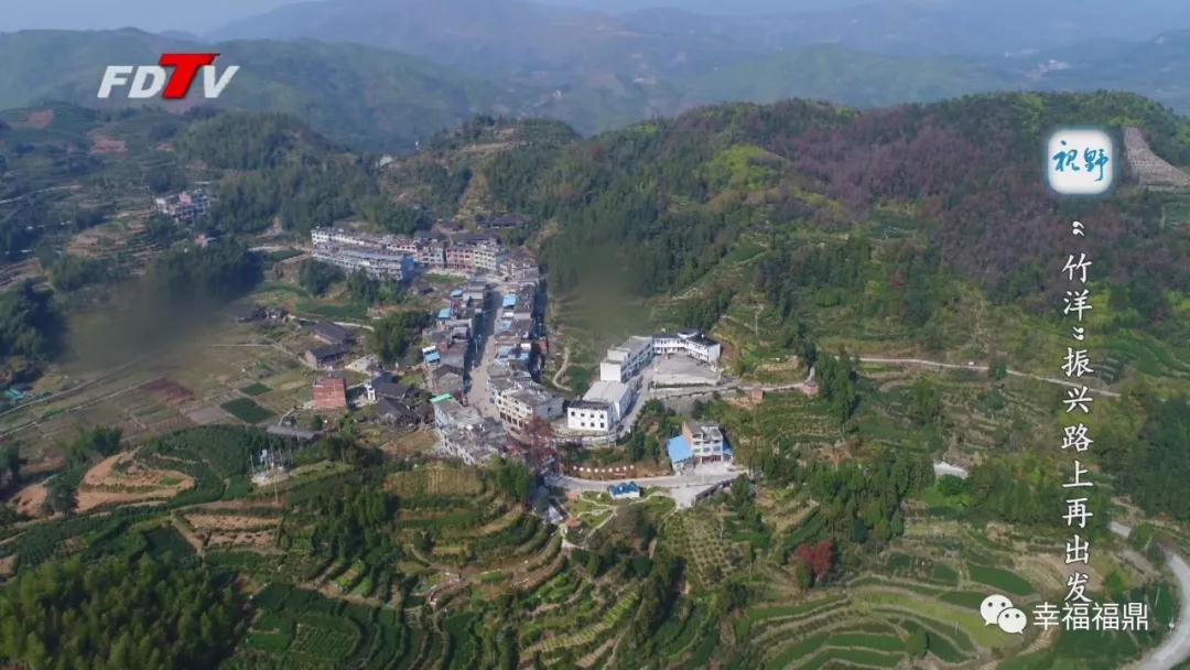 "竹洋"振興路上再出發