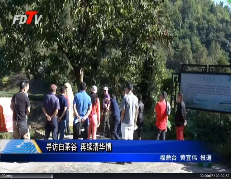 尋訪白茶谷 再續清華情