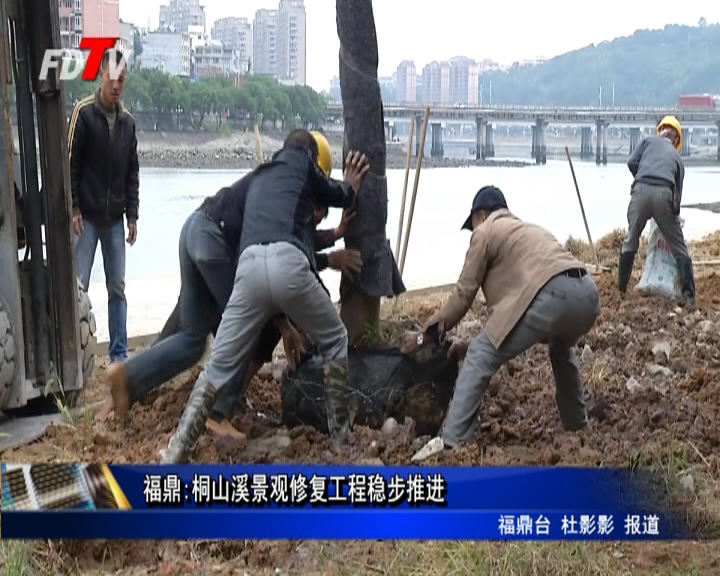 福鼎:桐山溪景觀修復工程穩步推進