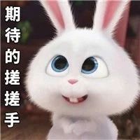 劇透，明天老健會開幕式的第一個表演節目來自福鼎！期待嗎？