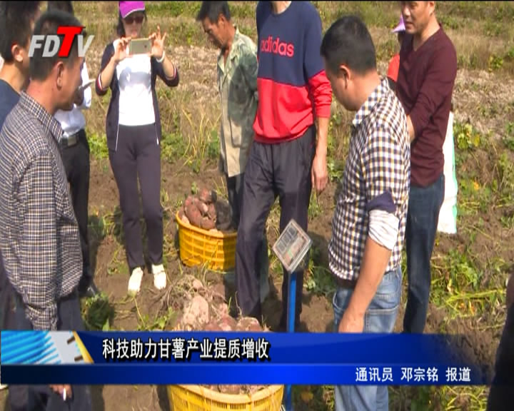 科技助力甘薯產業提質增收