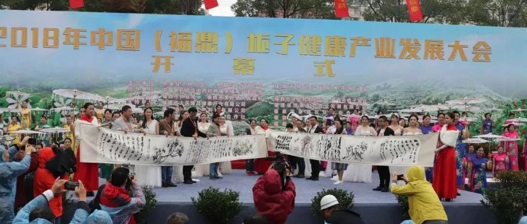 福鼎梔子又成了焦點！只因這一場盛會