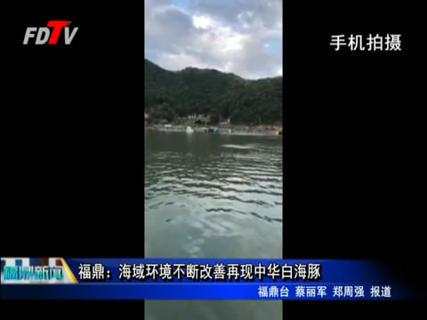 福鼎：海域環境不斷改善再現中華白海豚
