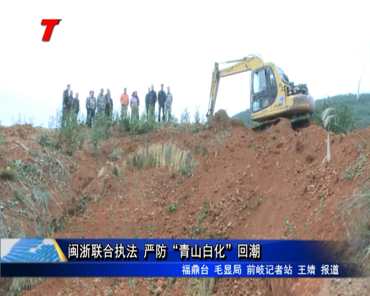 閩浙聯合執法 嚴防“青山白化”回潮