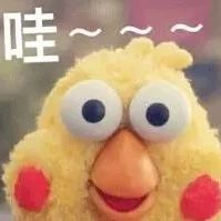福利到！明天，不要錯過這場惠民演出