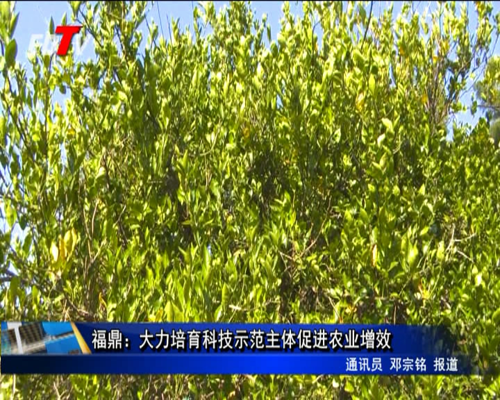 福鼎：大力培育科技示范主體促進農業增效