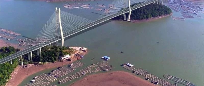 沙埕灣跨海大橋建設穩步推進，最新建設情況看這里~（附效果圖）