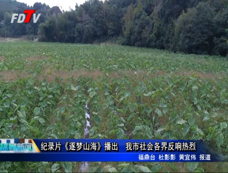 紀錄片《逐夢山?！凡コ? 我市社會各界反響熱烈