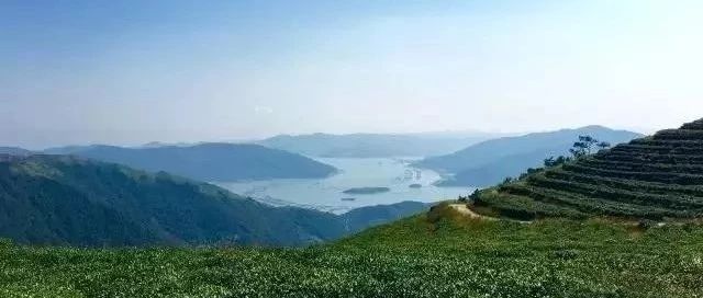 生態佳陽，靜好歲月，這個村約嗎？