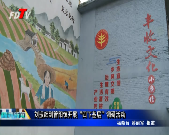 劉振輝到管陽鎮開展“四下基層”調研活動