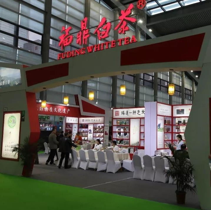 福鼎白茶震撼“回歸”深圳，老白茶盡顯年輕新姿態！