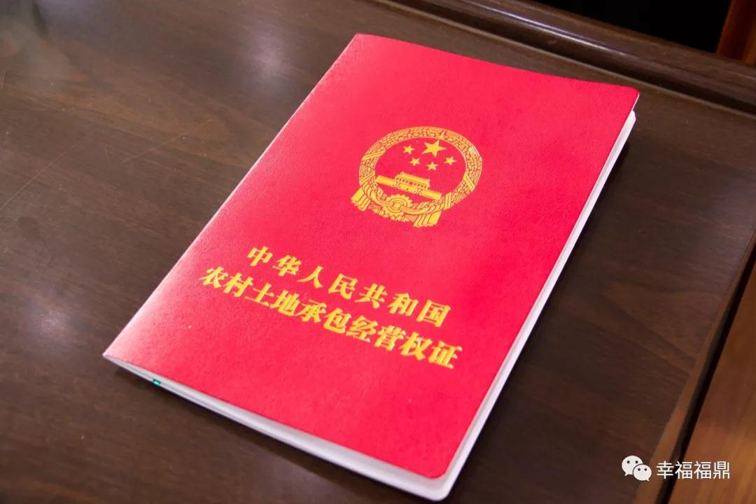 點贊臺丨桐山多措并舉，助推農村土地確權登記頒證