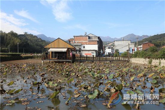 點頭柏柳村美麗鄉村建設 初顯成效