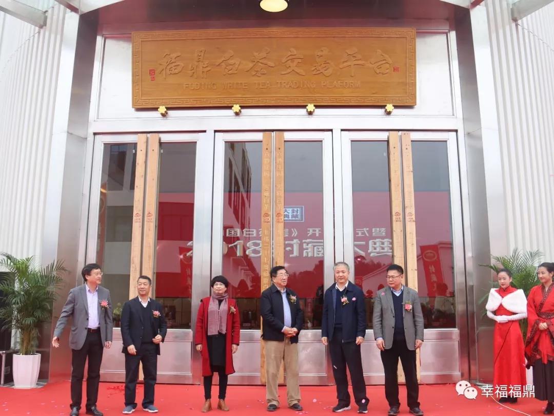 今天，福鼎白茶來了一場現場“大封印”