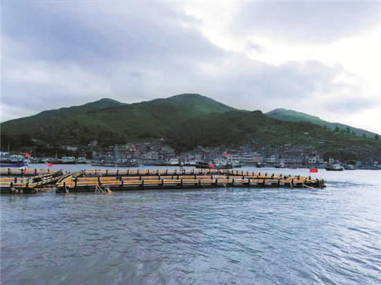 我市海上養殖整治見成效