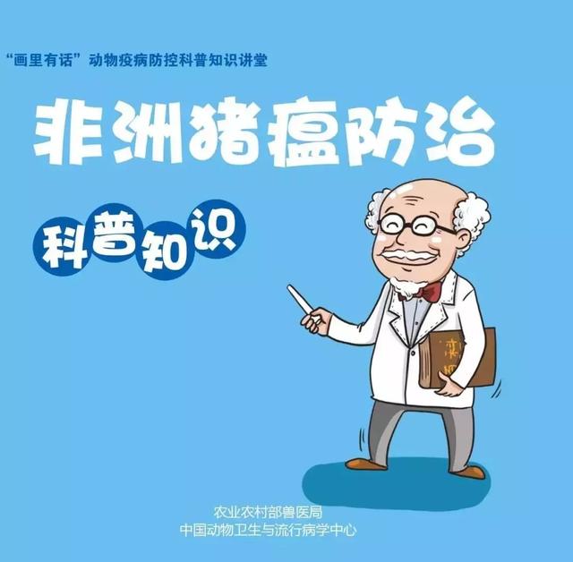 科普知識：非洲豬瘟，傳豬不傳人！