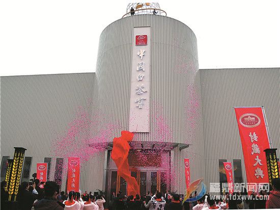 中國白茶開藏——— 福鼎白茶產業揭新篇