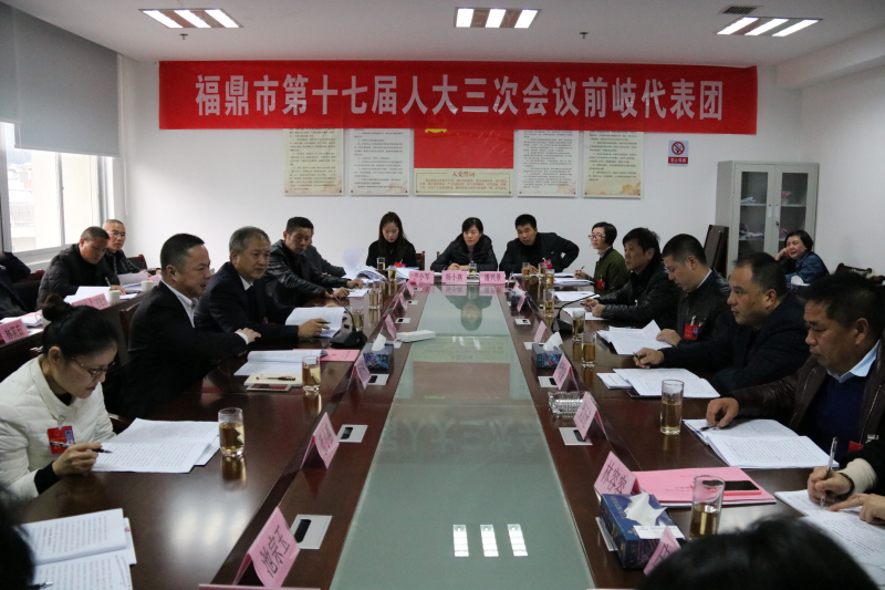 蔡梅生參加市十七屆人大三次會議代表團分組審議