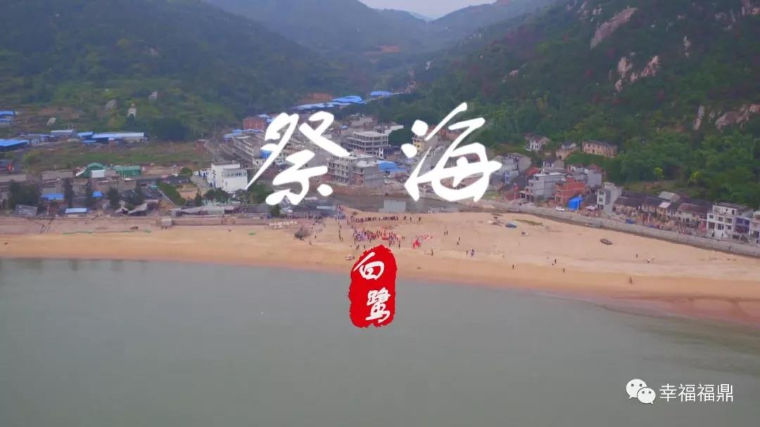 【視野】一個叫白鷺的地方，他們是這樣和海對話的……