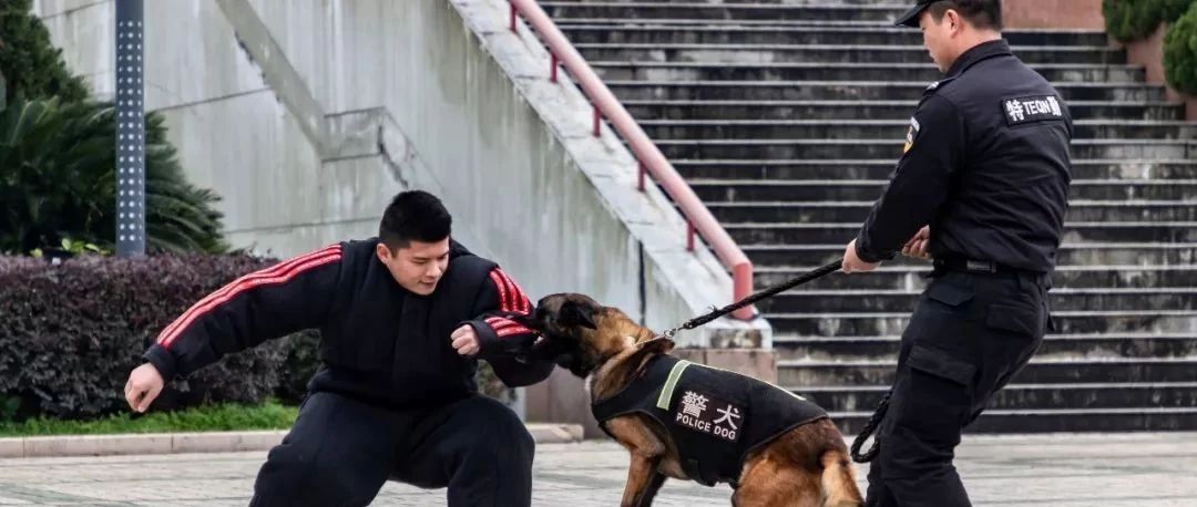110宣傳日，為警察蜀黍打call的你，可知如何正確打call？