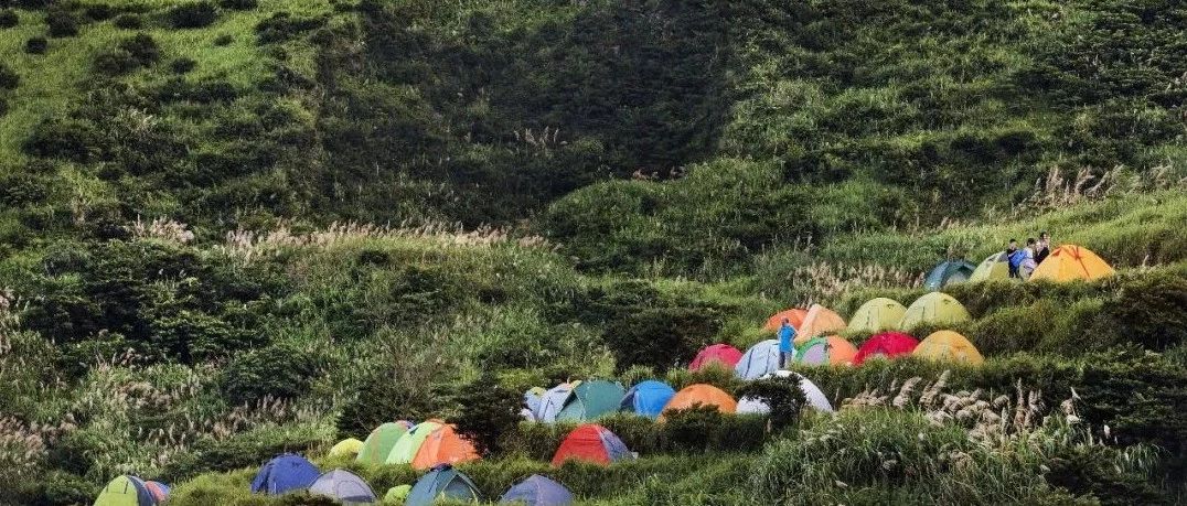 從現在開始，請叫我“福建省森林城市”!