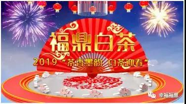 茶香墨韻，白茶迎春，這場活動引起極度舒適！