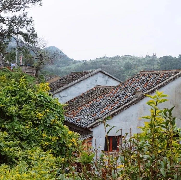 在清華建筑學子的眼中，崳山島是什么樣的呢？
