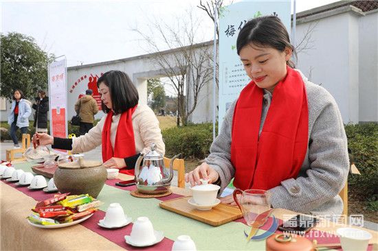 點頭鎮2019“白茶小鎮、魅力點頭” 攝影大賽啟動