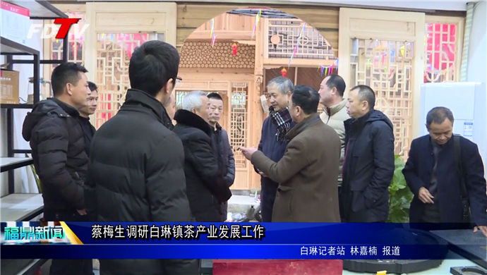 蔡梅生調研白琳鎮茶產業發展工作