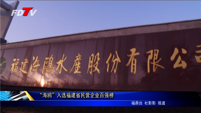 “海鷗”入選福建省民營企業百強榜
