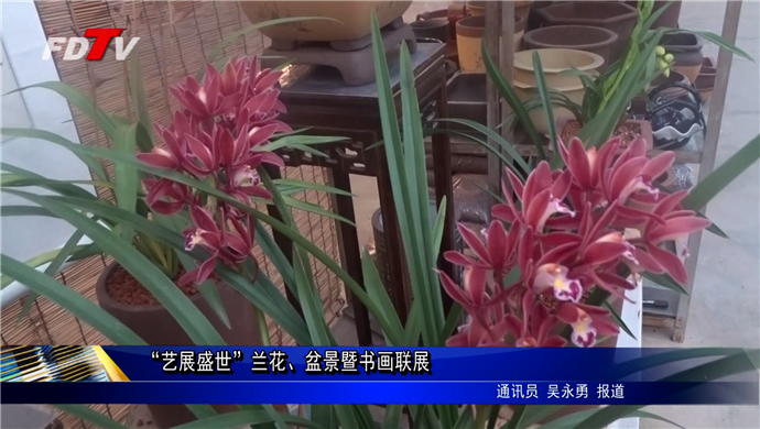 “藝展盛世”蘭花、盆景暨書畫聯展