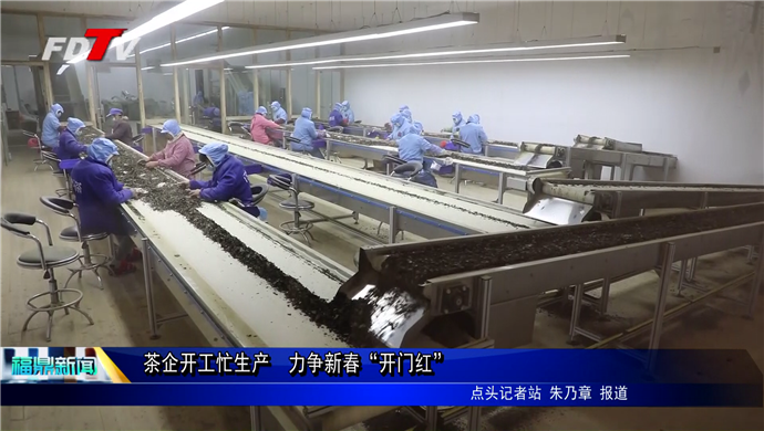 茶企開工忙生產　力爭新春“開門紅”