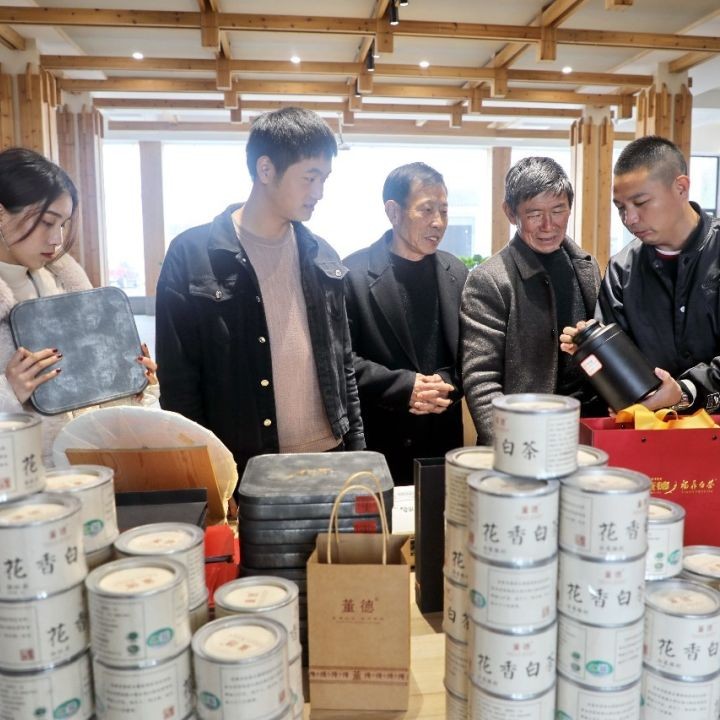 茶企新春早開工，福鼎茶市迎來“開門紅”！