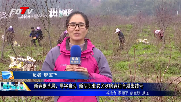 新春走基層：早字當頭 新型職業農民吹響春耕備耕集結號